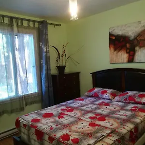 Authentic Apartment